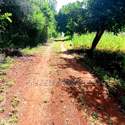 40*80ft Plots at Kenol Town in Muranga County - Image 3