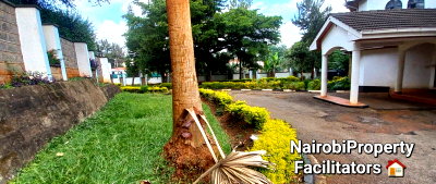 Half Acre Lavington Plot with Garden
