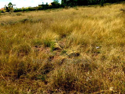1\4 Acre Land for Sale - Image 1