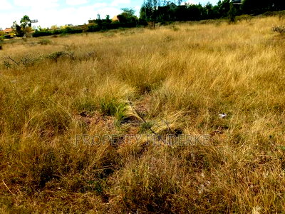1\4 Acre Land for Sale - Image 2