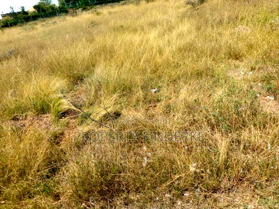 1\4 Acre Land for Sale - Image 5