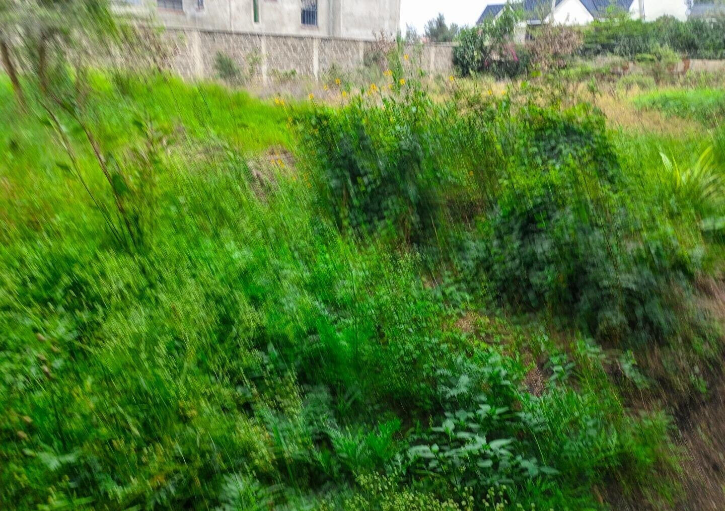 Quarter Acre Garden Plot