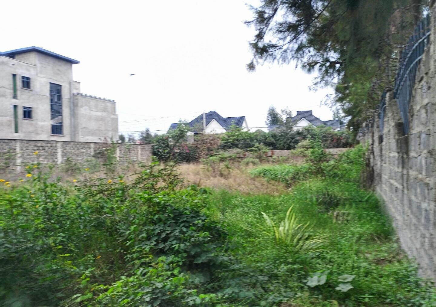 Quarter Acre Garden Plot