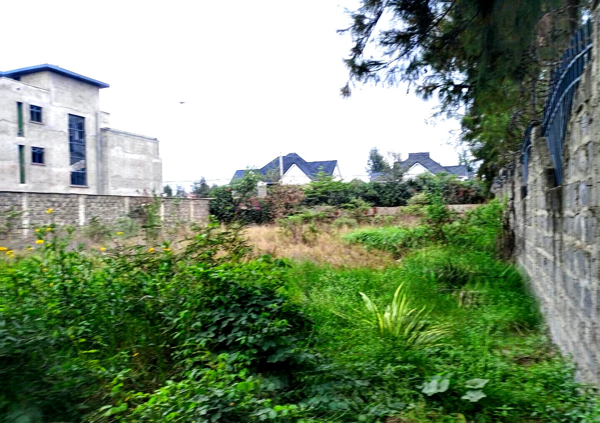 Quarter Acre Garden Plot