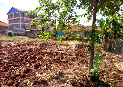 Garden Plot with Parking for KSh 25M