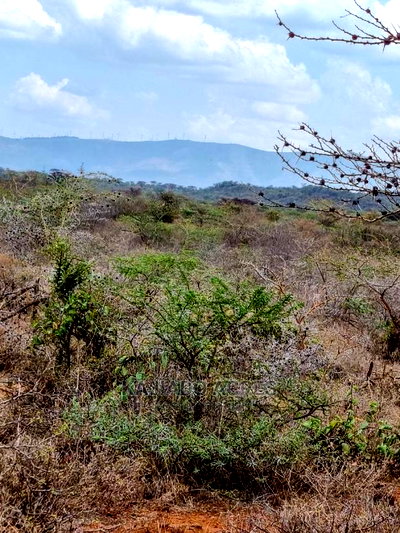 45 Acres Saikeri at 850k Per Acre - Image 6