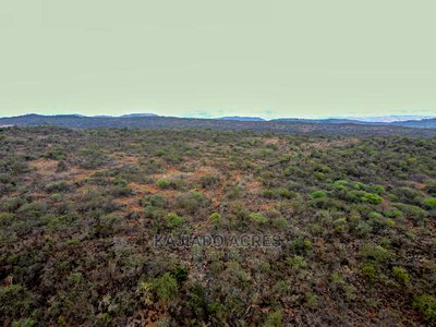 45 Acres Saikeri at 850k Per Acre - Image 4