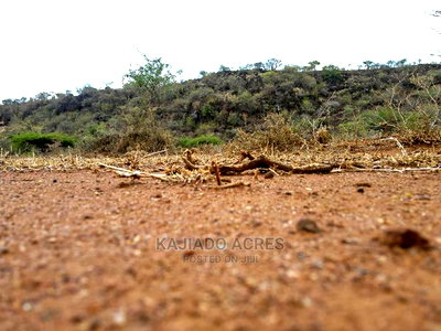 45 Acres Saikeri at 850k Per Acre - Image 3