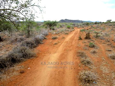 45 Acres Saikeri at 850k Per Acre - Image 5