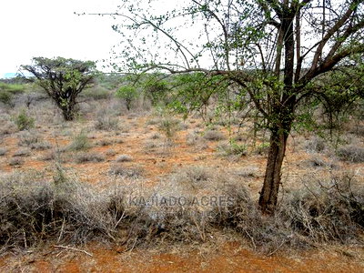 45 Acres Saikeri at 850k Per Acre - Image 7
