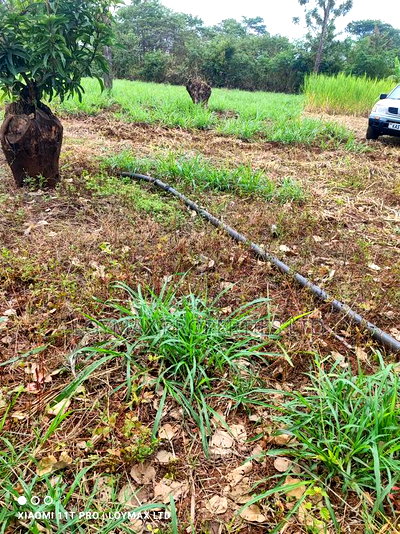 3 Acres on Sale Along Sagana Muranga Road Kwa Samaki - Image 8