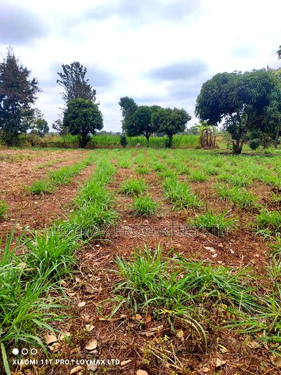3 Acres on Sale Along Sagana Muranga Road Kwa Samaki - Image 9