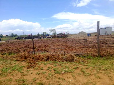 Superb Plots for Sale in Njoro Kikapu Area - Image 4