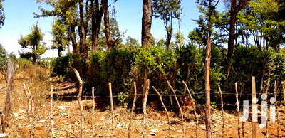 Plots for Sale in Kuinet Eldoret - Image 3