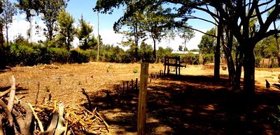Plots for Sale in Kuinet Eldoret - Image 4