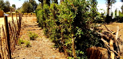 Plots for Sale in Kuinet Eldoret - Image 2