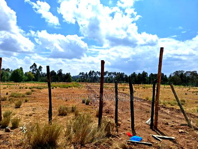 Prime Land for Sale - Image 4