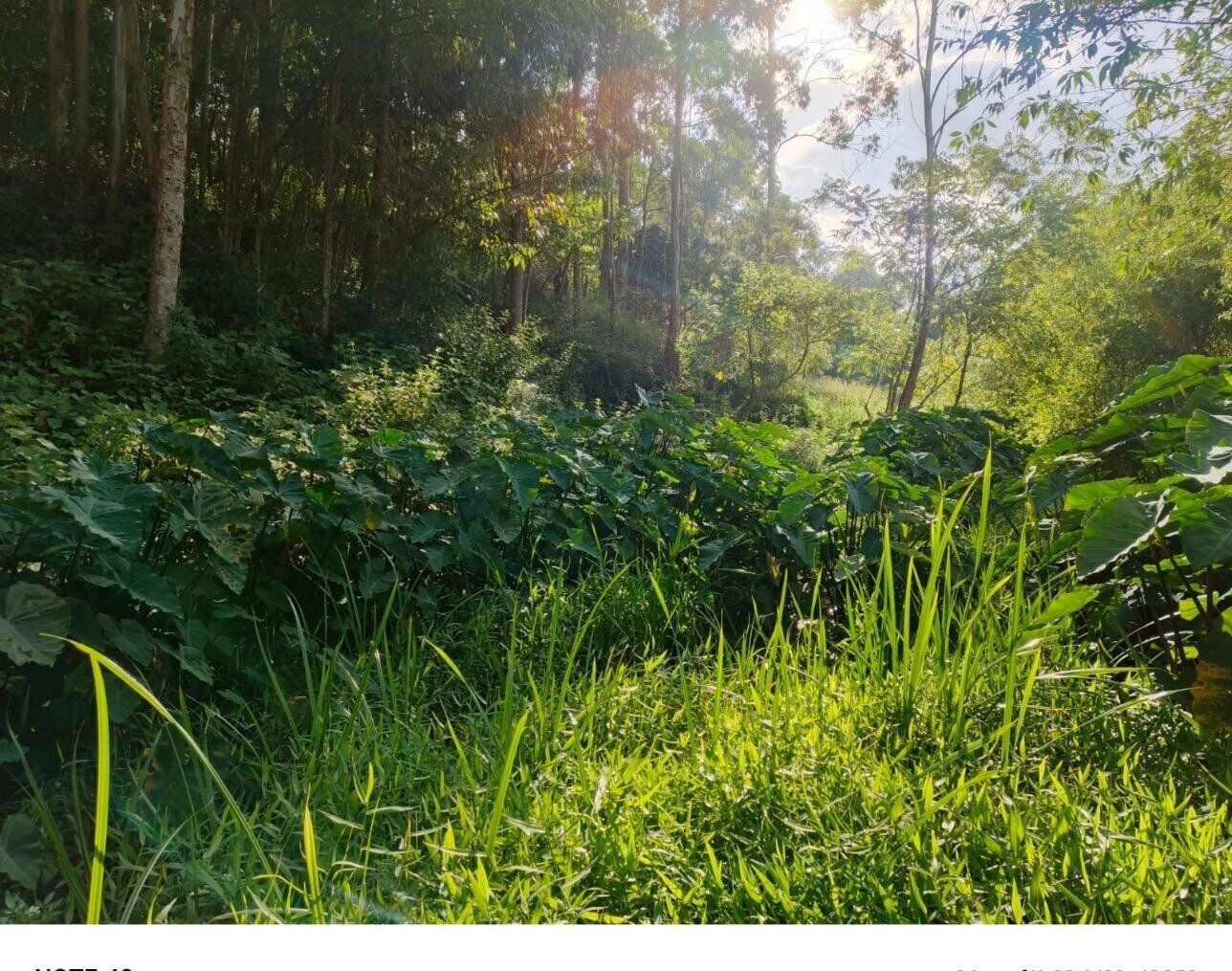 0.42 Acre Riverfront Plot at KSh 20M
