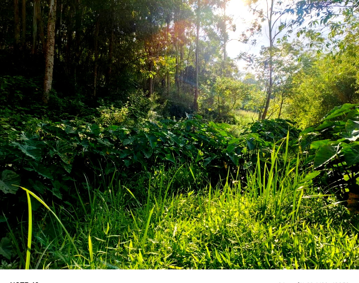 0.42 Acre Riverfront Plot at KSh 20M
