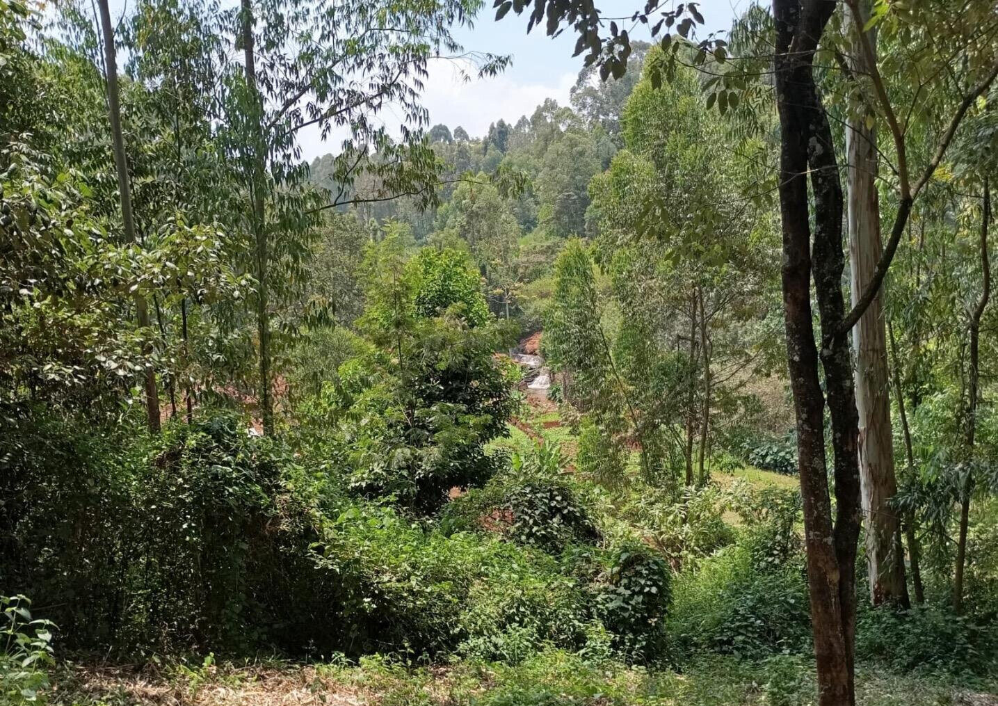 0.42 Acre Riverfront Plot at KSh 20M