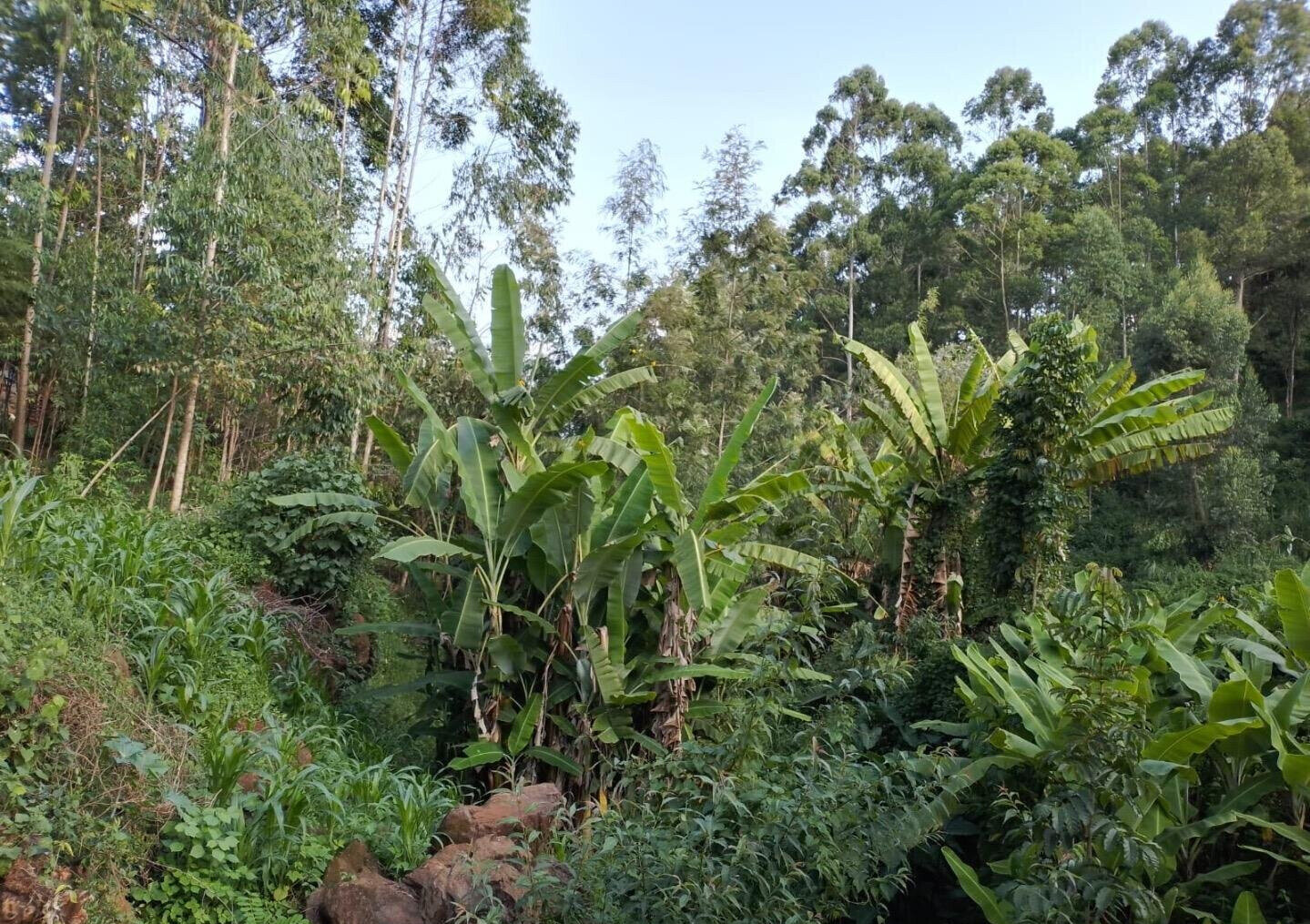 0.42 Acre Riverfront Plot at KSh 20M