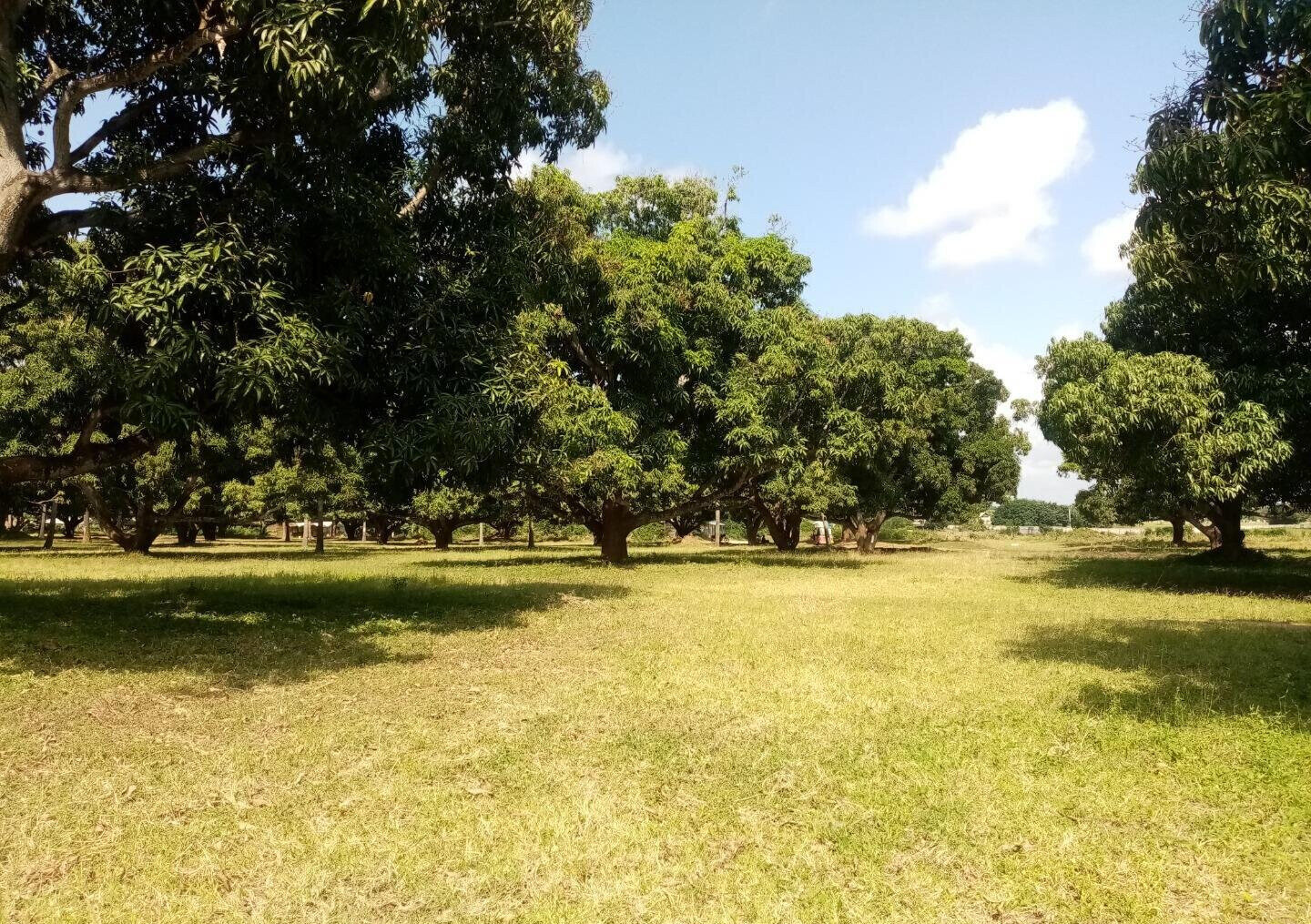 1/8 Acre Plot at KSh 850K