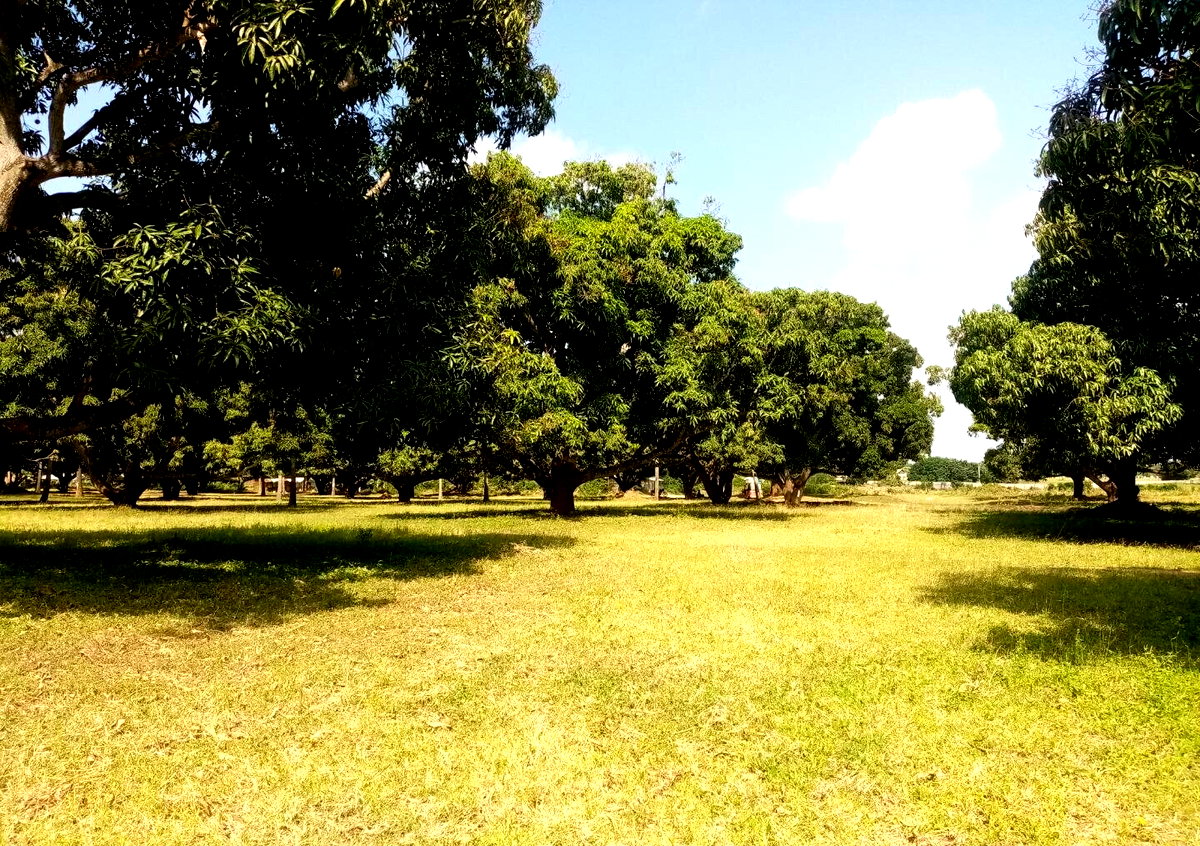 1/8 Acre Plot at KSh 850K