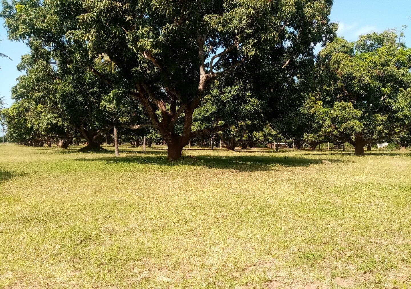 1/8 Acre Plot at KSh 850K