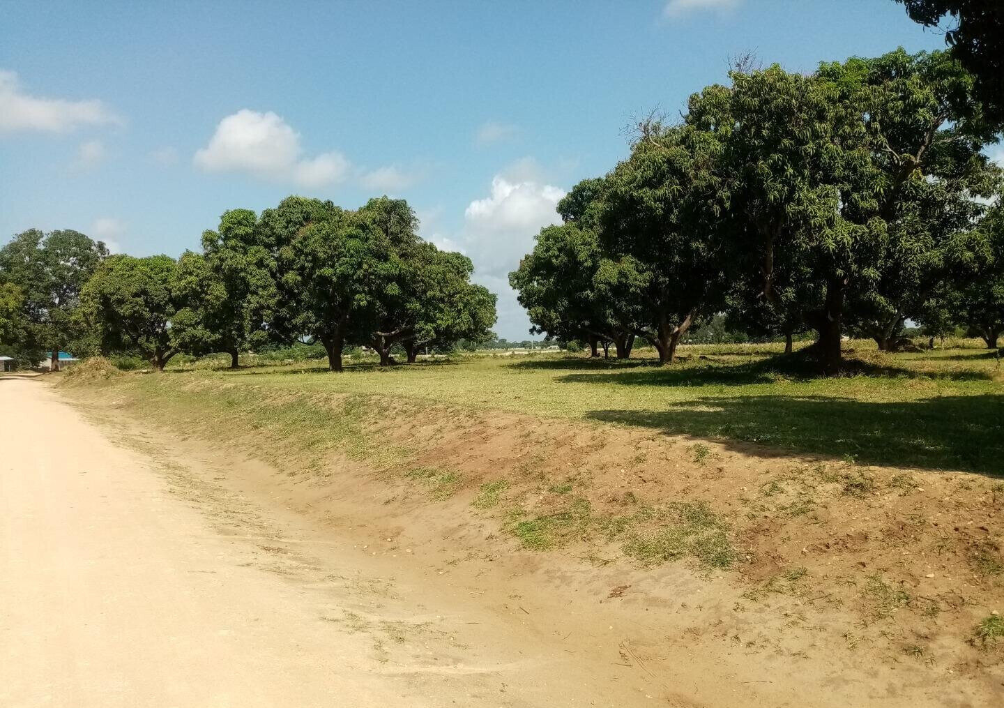 1/8 Acre Plot at KSh 850K