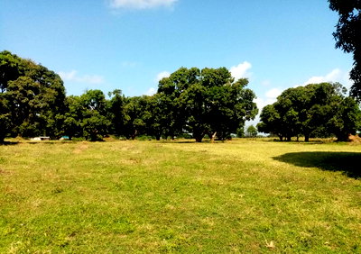 1/8 Acre Plot at KSh 850K