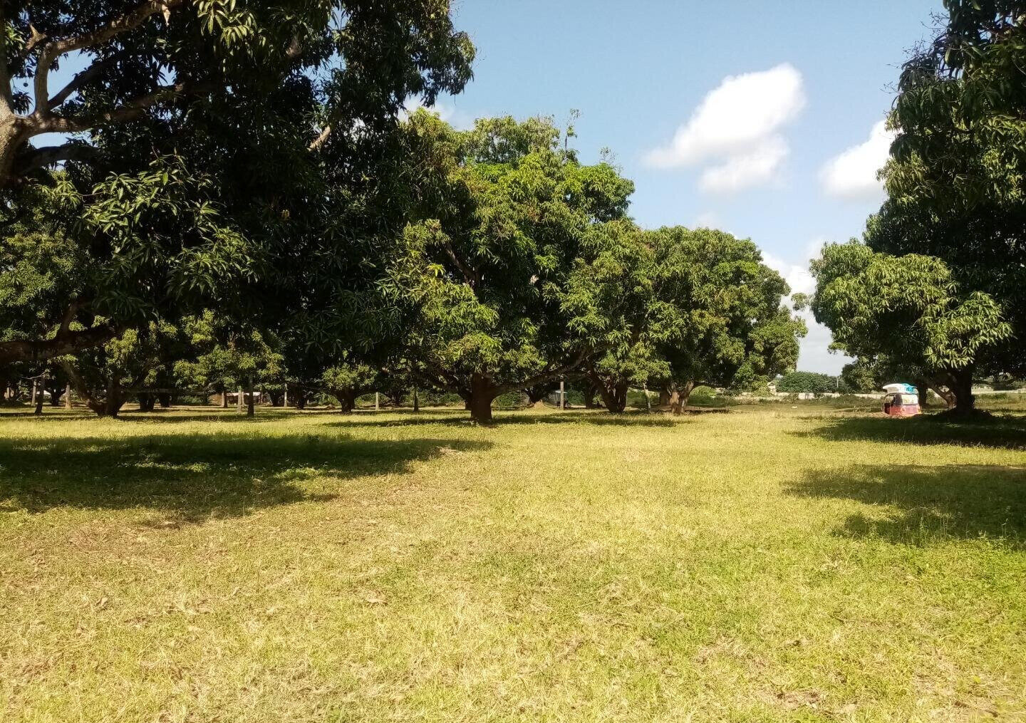 1/8 Acre Plot at KSh 850K