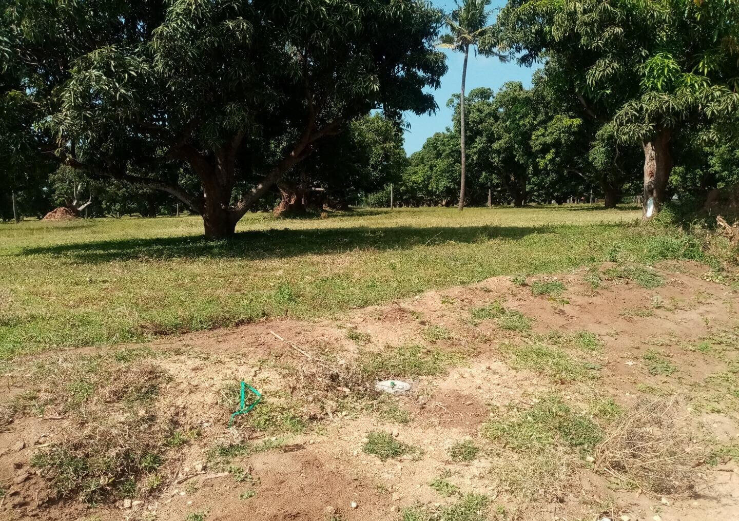 1/8 Acre Plot at KSh 850K