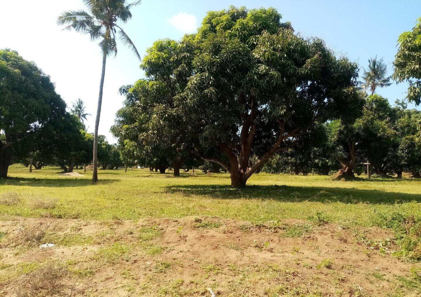 1/8 Acre Plot at KSh 850K