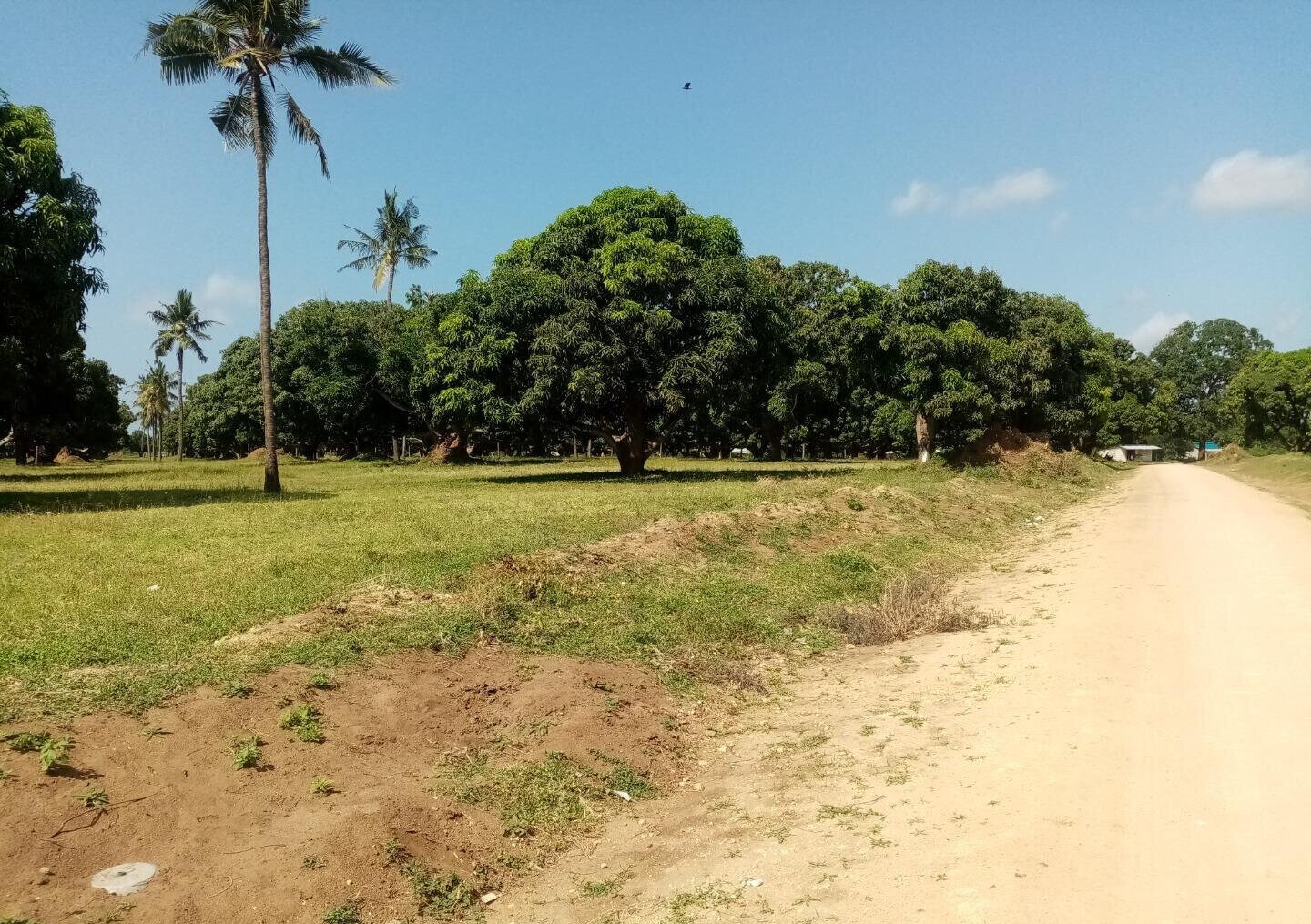 1/8 Acre Plot at KSh 850K
