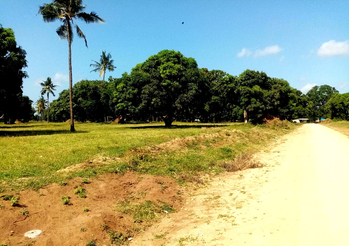 1/8 Acre Plot at KSh 850K