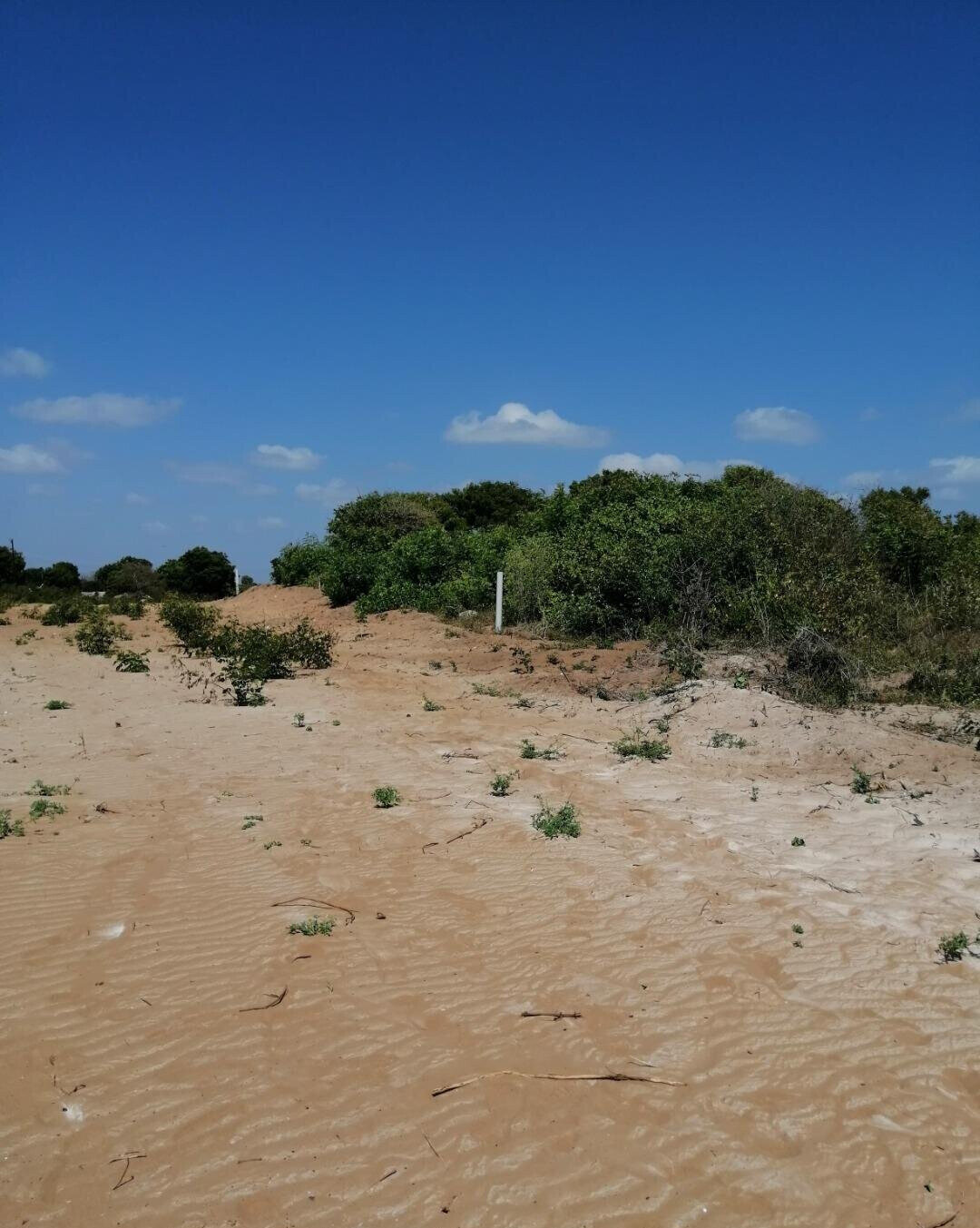 2.5-Acre Beach Plot for KSh 50M