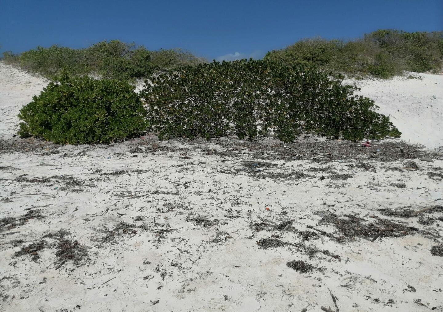 2.5-Acre Beach Plot for KSh 50M