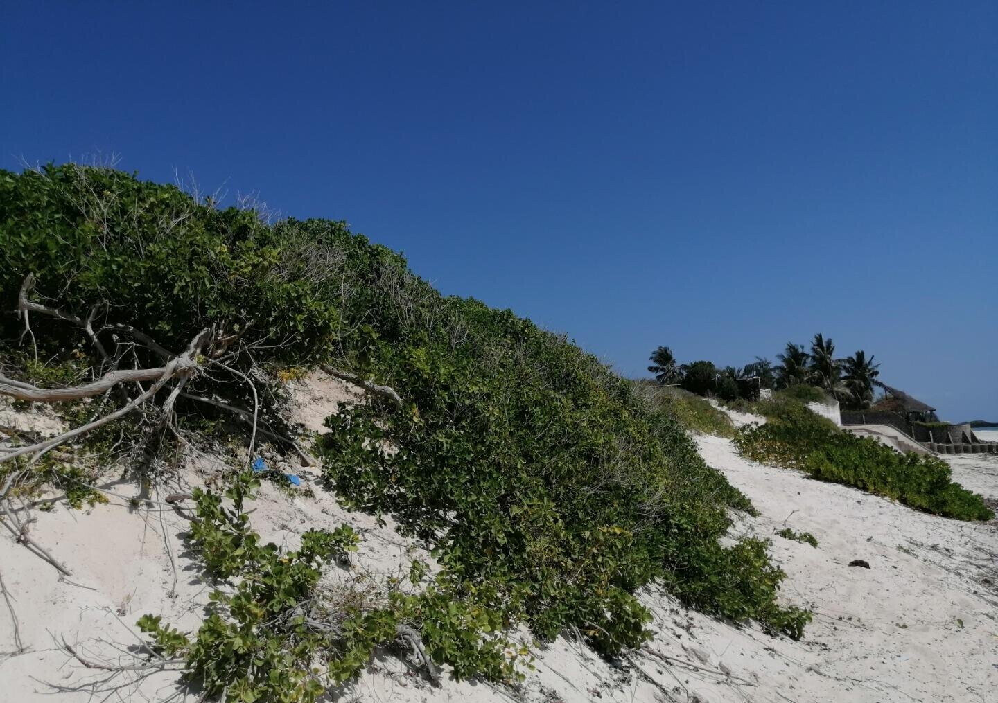 2.5-Acre Beach Plot for KSh 50M