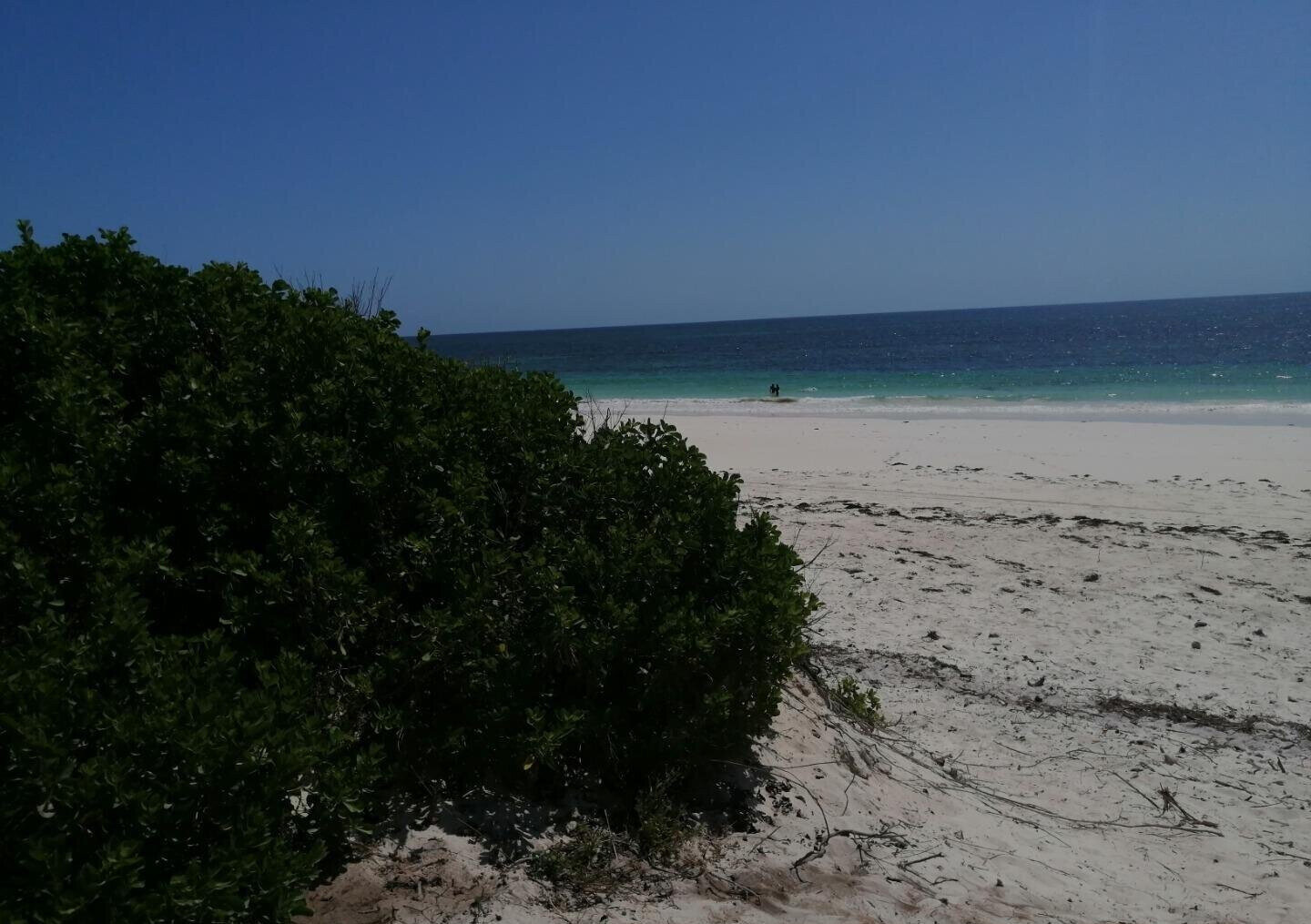 2.5-Acre Beach Plot for KSh 50M