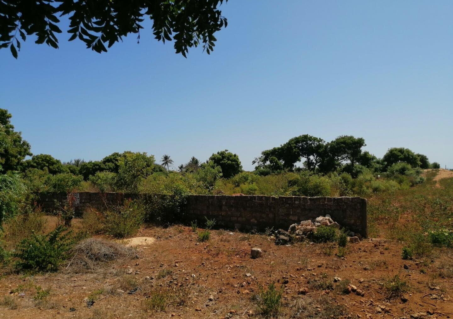 2.5-Acre Beach Plot for KSh 50M
