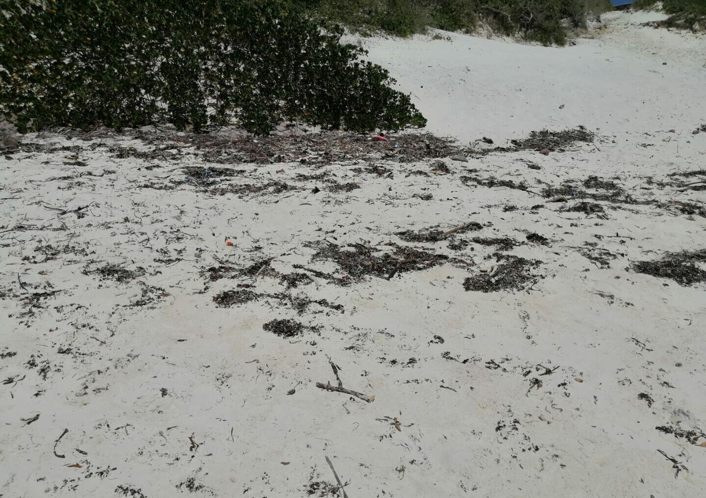 2.5-Acre Beach Plot for KSh 50M