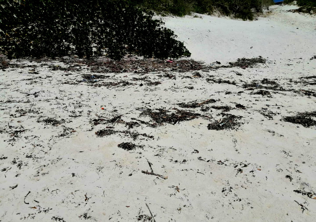 2.5-Acre Beach Plot for KSh 50M