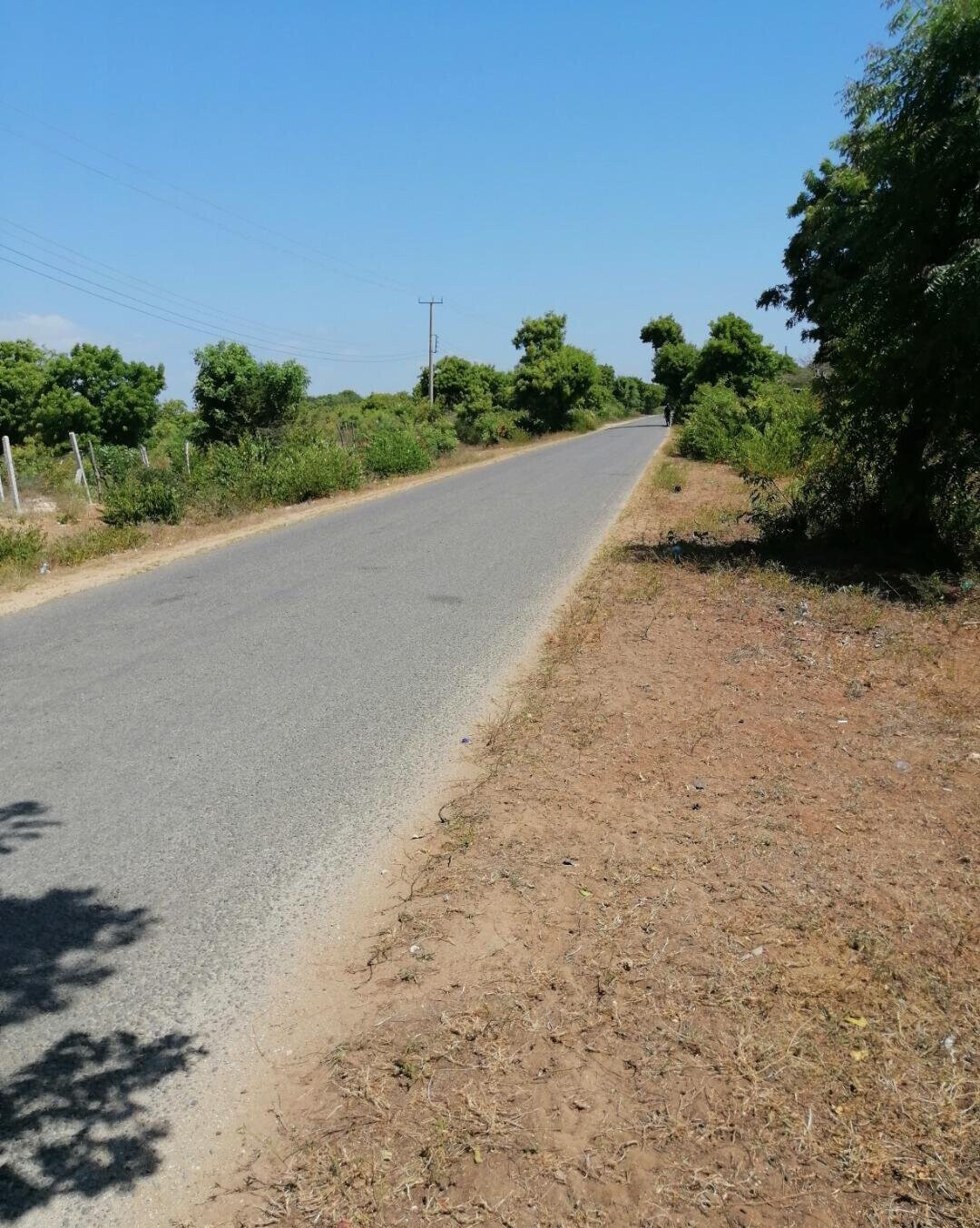 2.5-Acre Beach Plot for KSh 50M