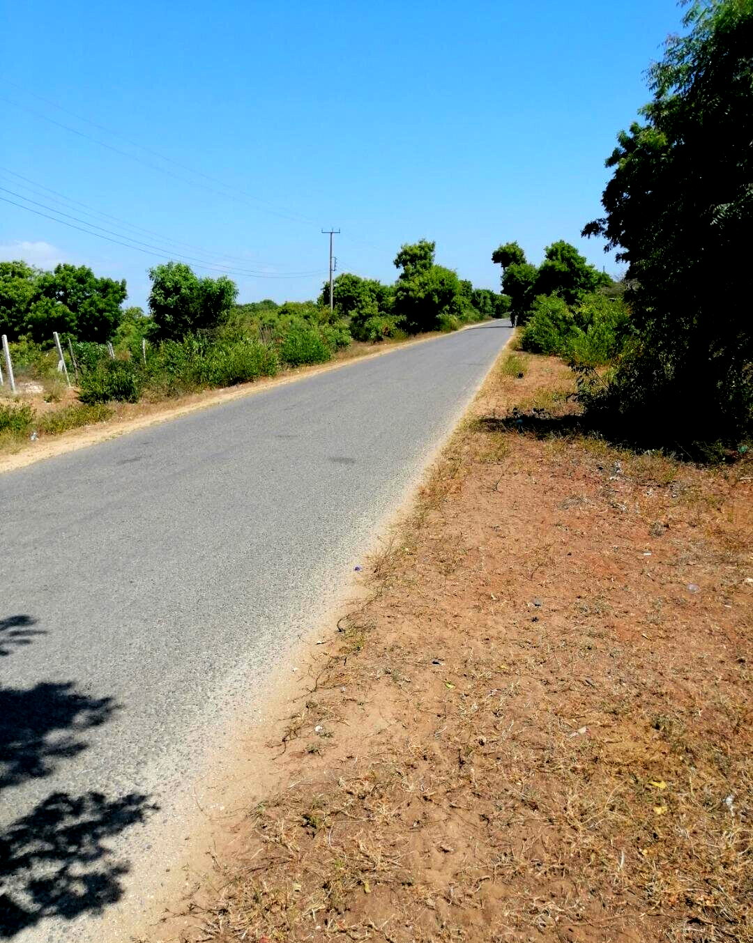 2.5-Acre Beach Plot for KSh 50M