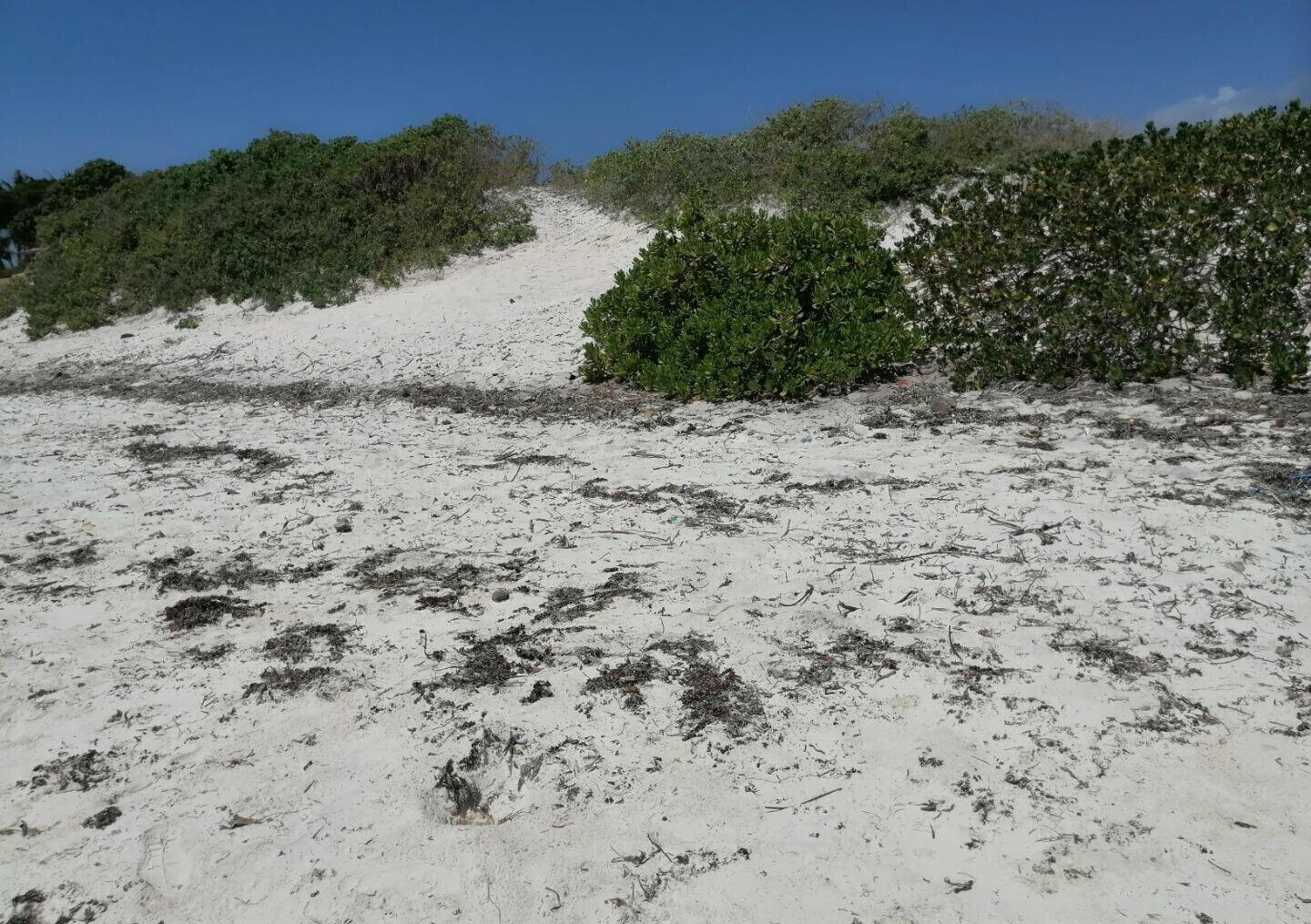 2.5-Acre Beach Plot for KSh 50M
