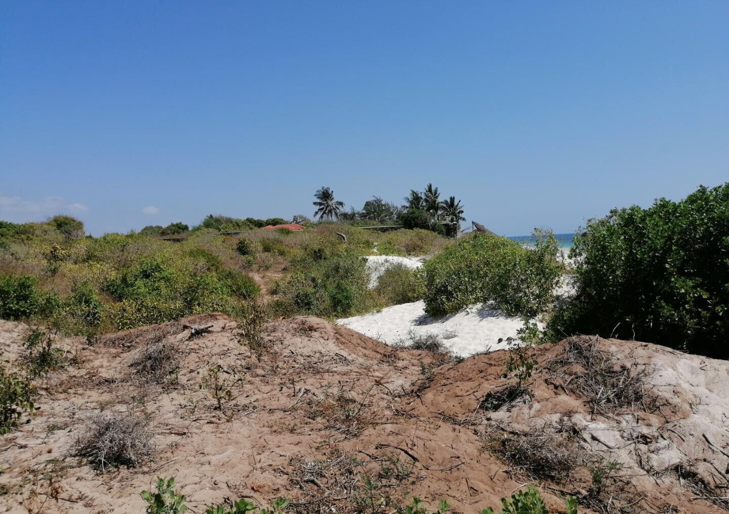 2.5-Acre Beach Plot for KSh 50M