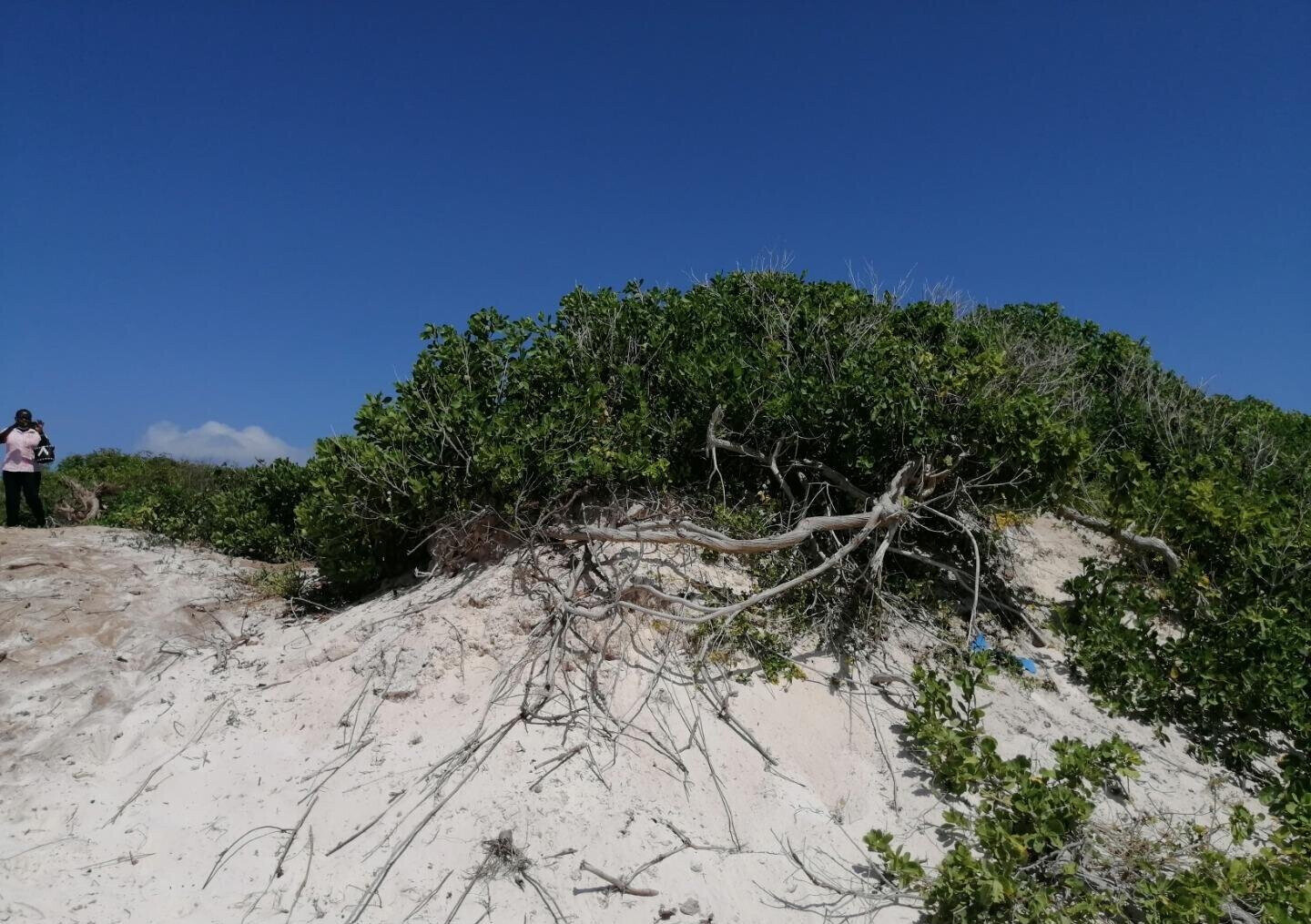 2.5-Acre Beach Plot for KSh 50M