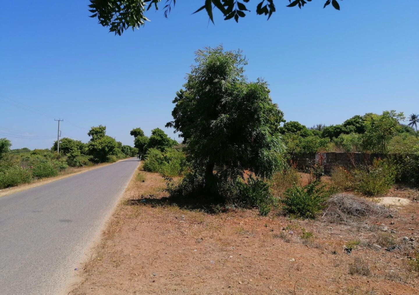 2.5-Acre Beach Plot for KSh 50M