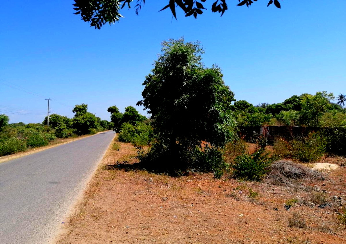 2.5-Acre Beach Plot for KSh 50M