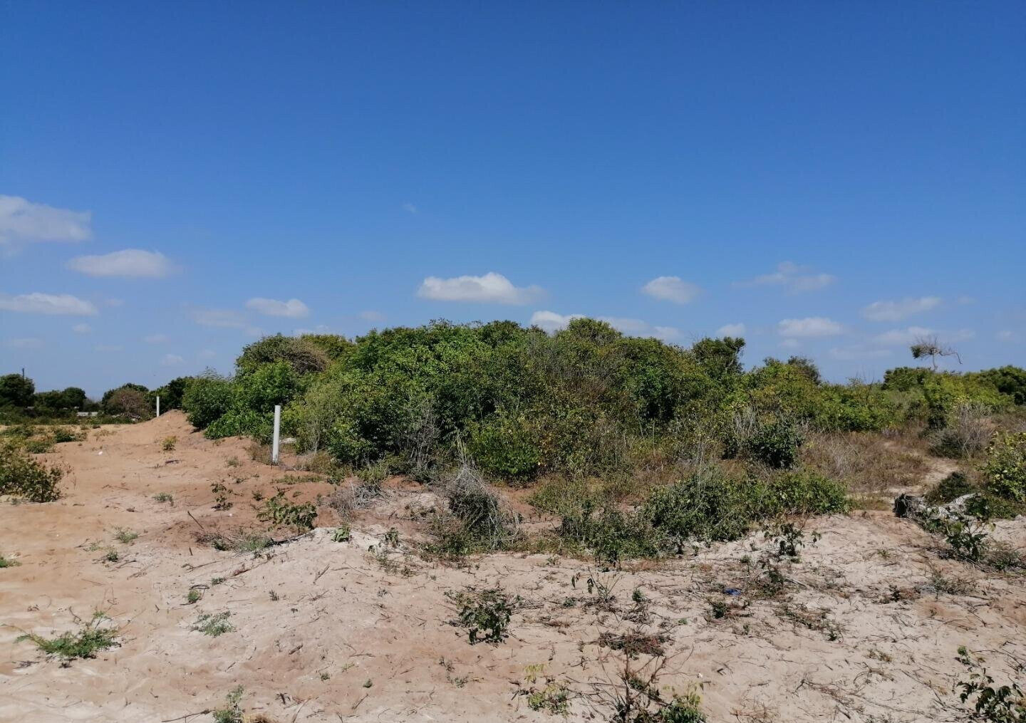 2.5-Acre Beach Plot for KSh 50M